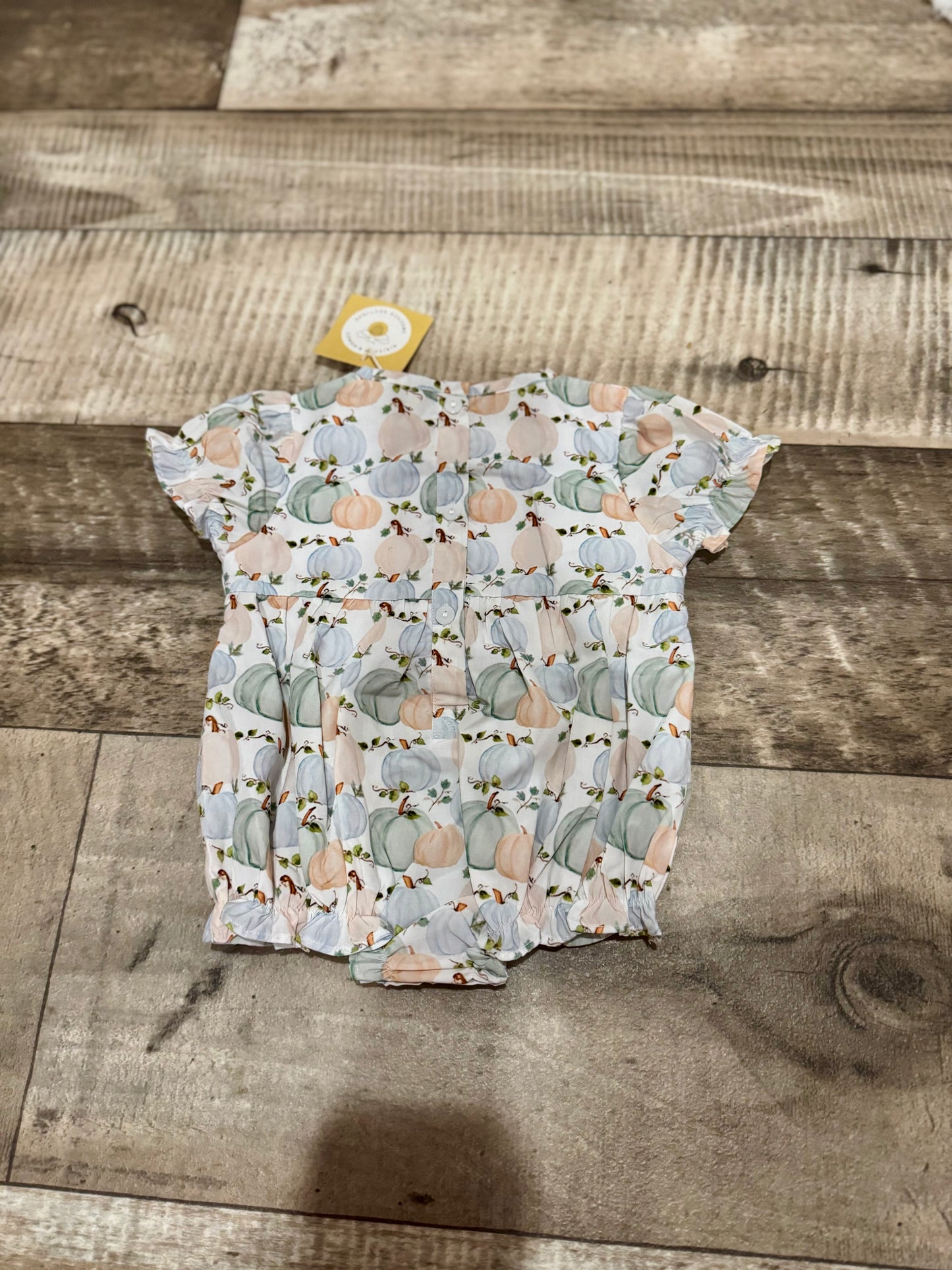 Pumpkin Smocked Bubble 6M